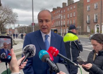 Taoiseach Micheál Martin insists Cabinet never signed off on plans to slash SNA numbers